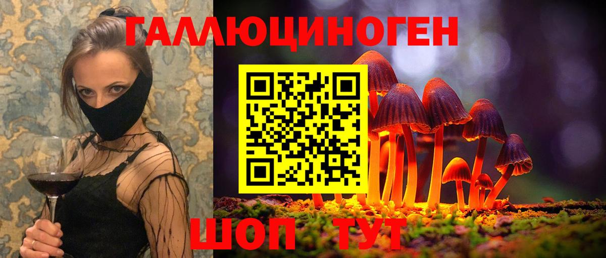 Галлюциногенные грибы Cubensis  Галлюциногенные грибы прущие грибы  Озёрск  Вход с VPN 