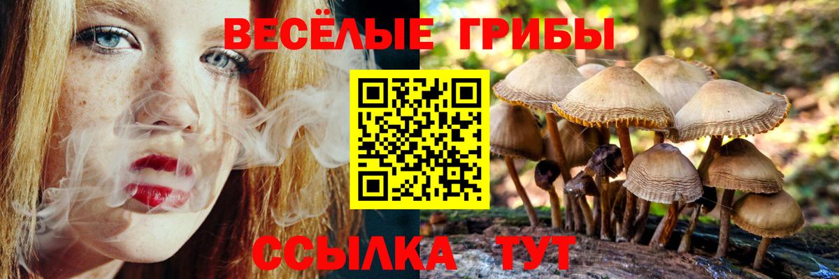 Псилоцибиновые грибы ЛСД Озёрск